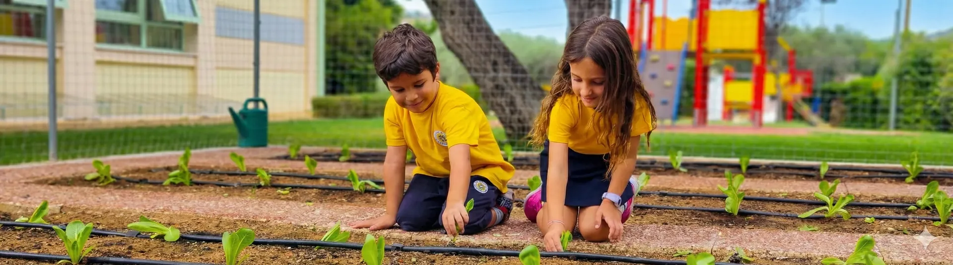 Kindergarten students in guided classroom activity